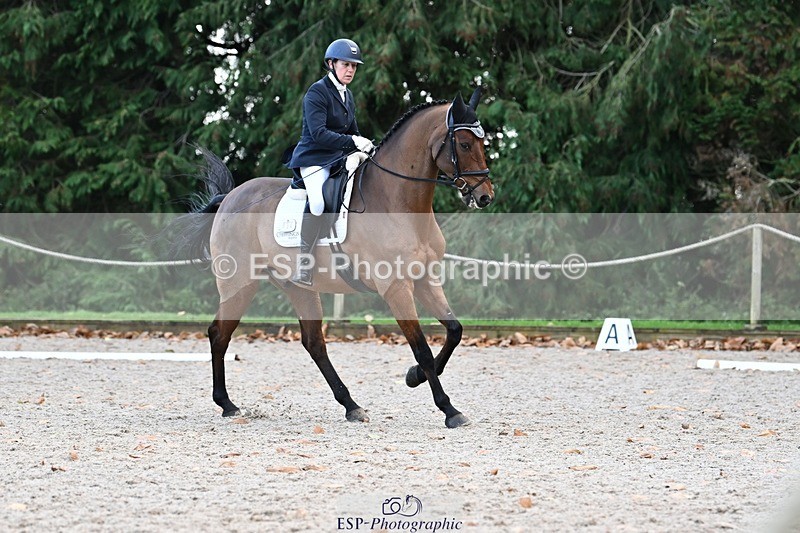 231110-143547-01973 - Cls 8 Medium 75Q