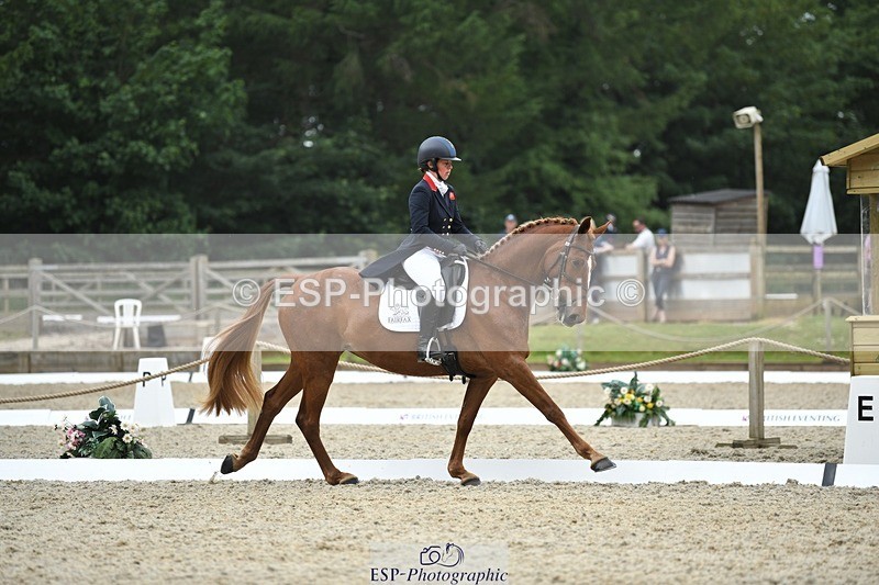 230525-125644-02059 - 112-BILLY_MAPLE-Kitty_King-WEDTrotUp+DR