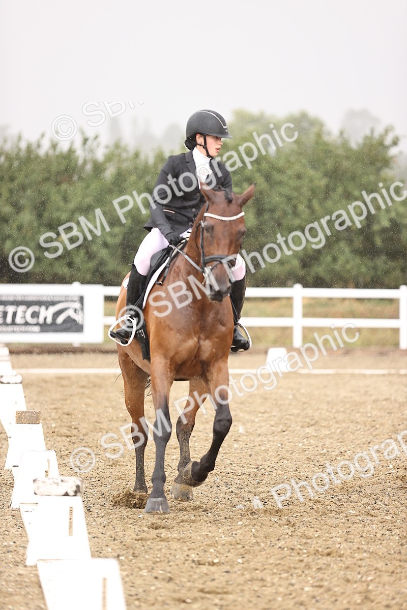 SBM_004677