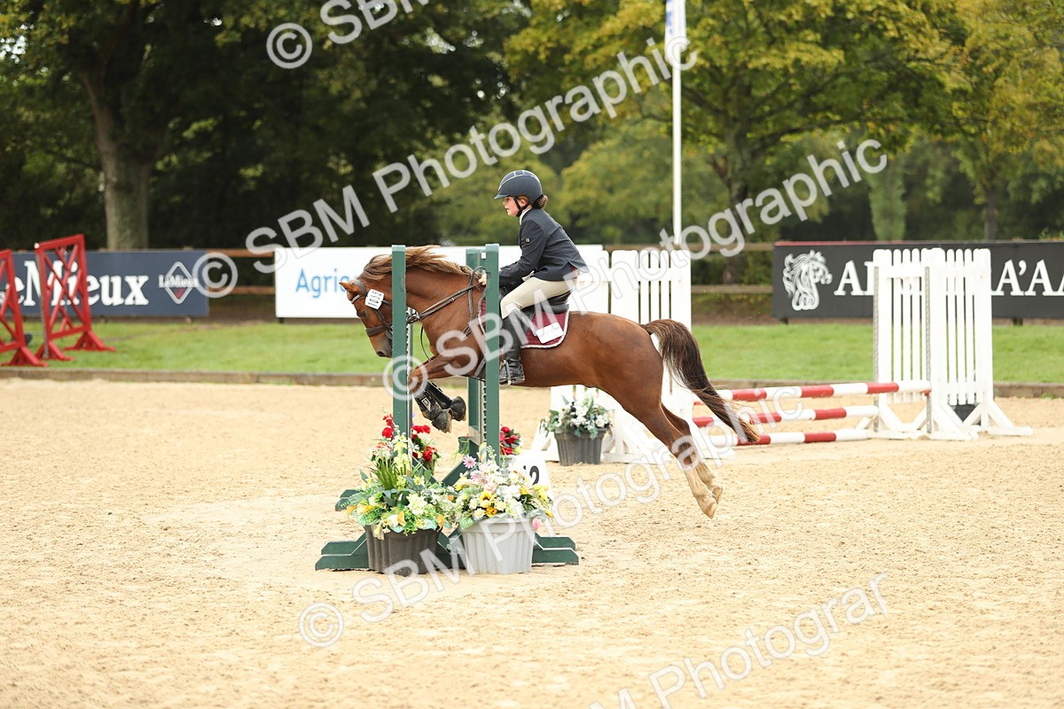 SBM_34231 - J60 Clear Round 50cm