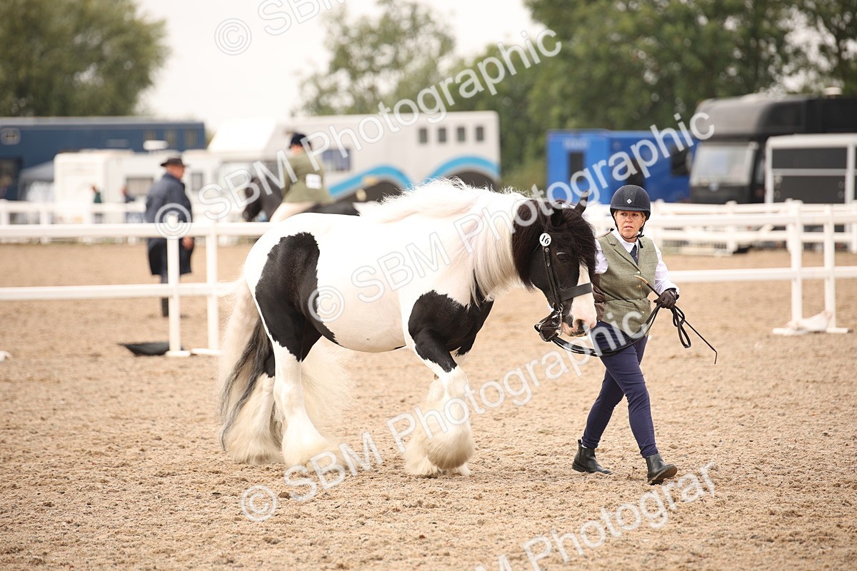 SBM_22094 - Class 707 - Ridden Groom-Helpers Class