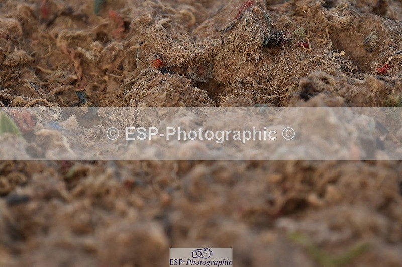 231104A-141214-02059 - Cls 10 Medium 61