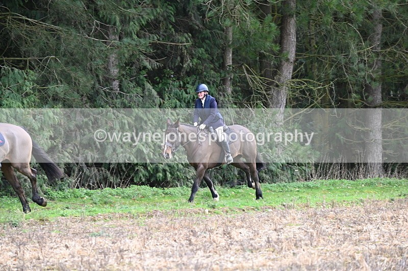 WJ6_9736 - Line Four