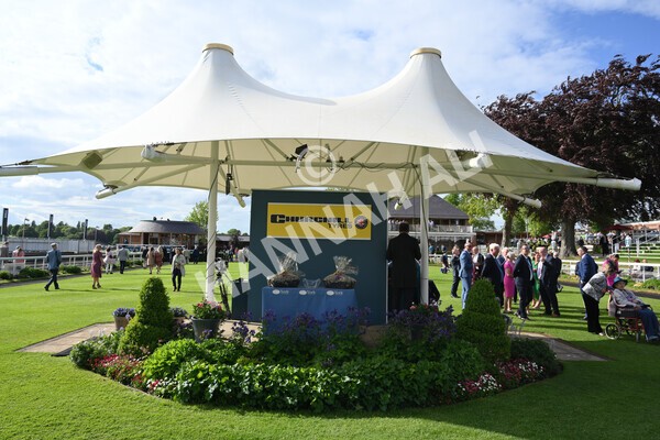yr21052022r7-40 - Race 7: 5:15pm Reg Bond Always and Forever Stakes