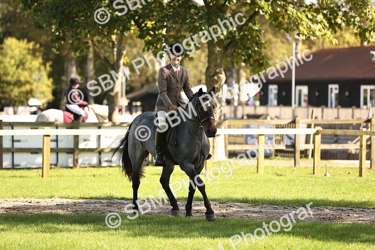 SBM_16970 - S2 - TSR Ridden Pony Showing