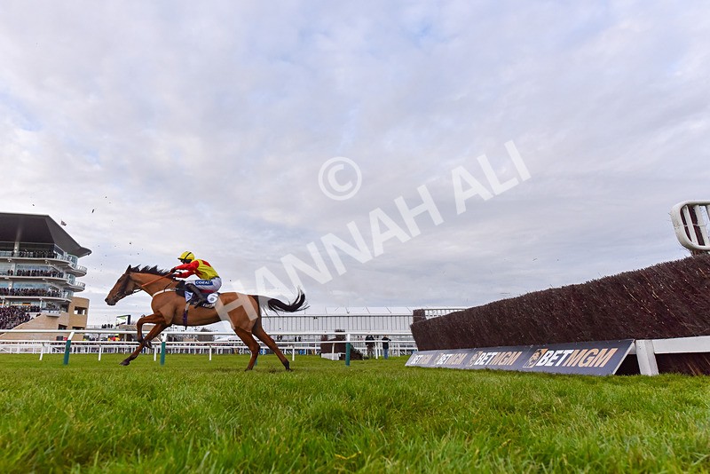 141224-Race 5-Triple Trade-9466 - Race 5