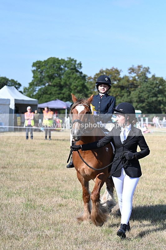 WJ7_3314 - Class 8 Ridden Tack & Turnout