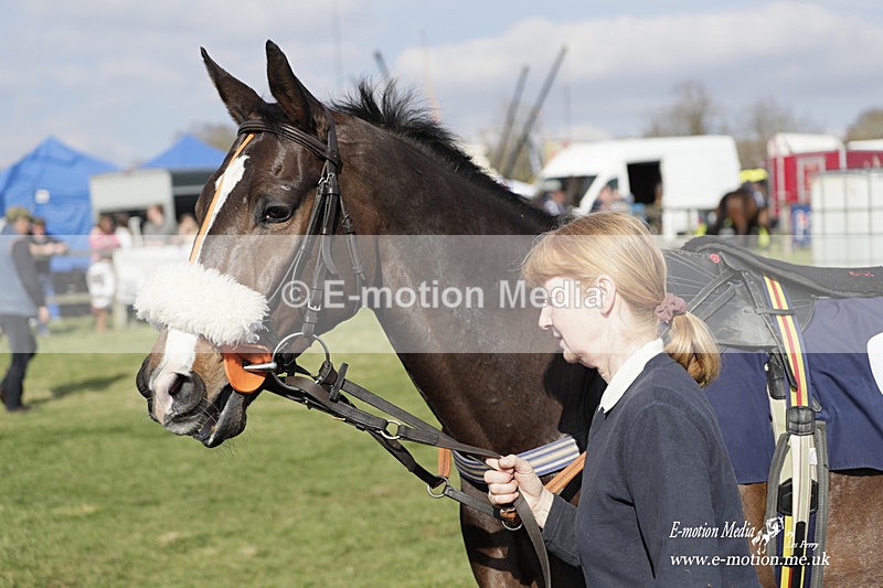 PtP 080423 702 - Dingley Races The Woodland Pytchley Hunt PtP 08/04/23