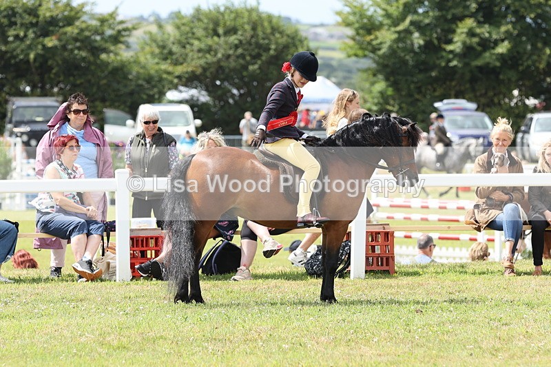 JPP_1648 - Cornish Combination Championship