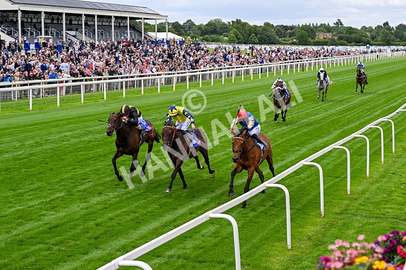 130626-Race 3-Gregory-0469 - Race 3 15.00pm Sky Bet Race To The Ebor Grand Cup Stakes