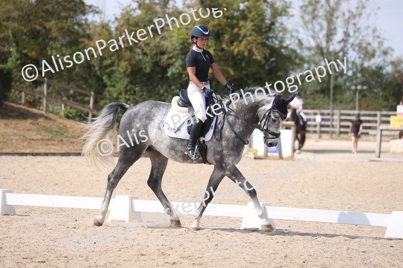 20260815-1019 - Class 5 - Novice 1