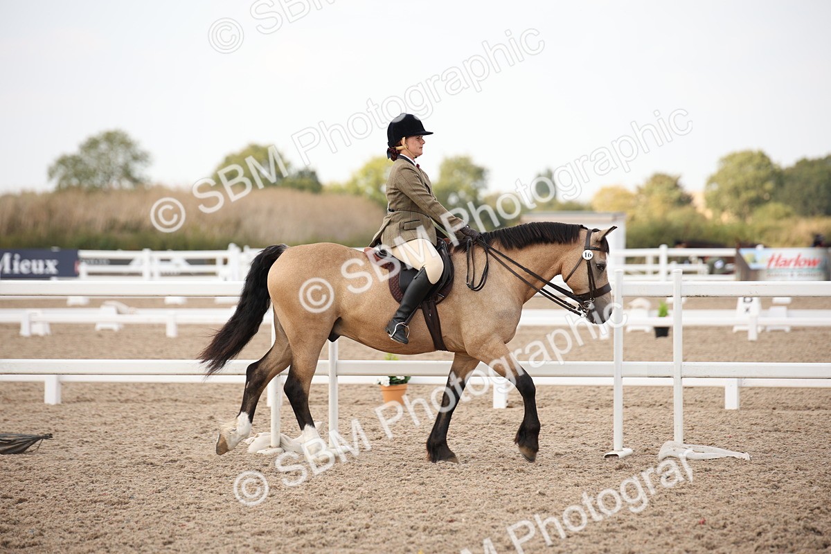 SBM_08737 - Class 12R Regional Ridden Pre-Vet