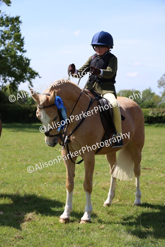20250427-2515 - Class 19 - Mini Working Hunter