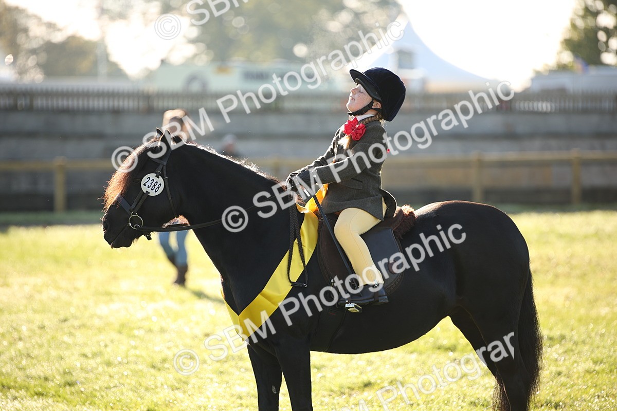 SBM_32377 - S8 - Best Turned Out