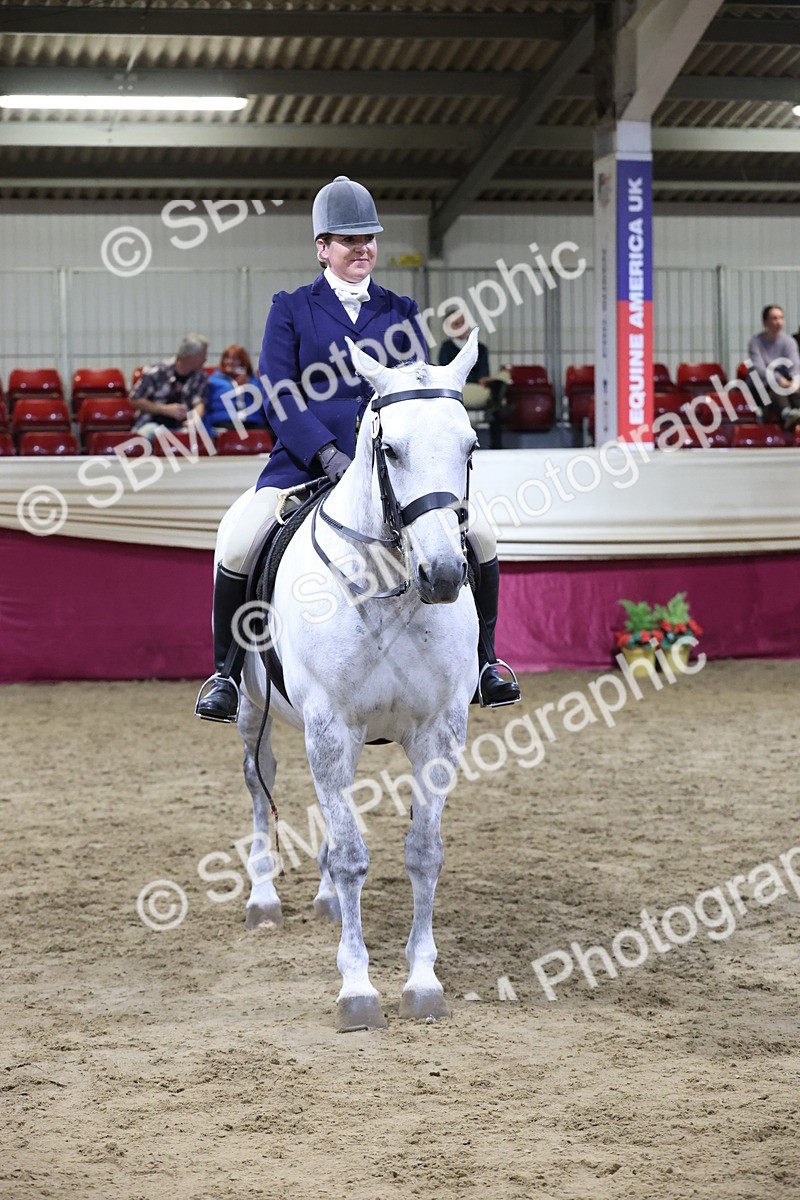 SBM_21180 - class Q - Ridden Horse Champ