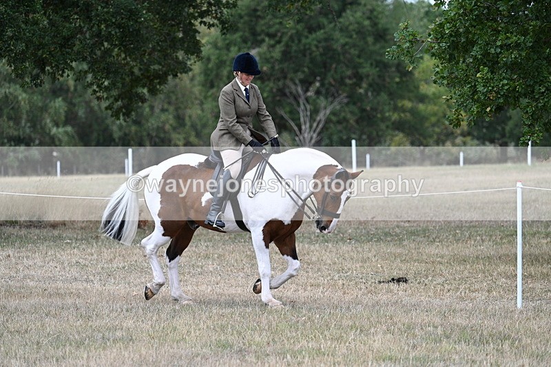 WJ7_4825 - Class 12 Ridden Cob