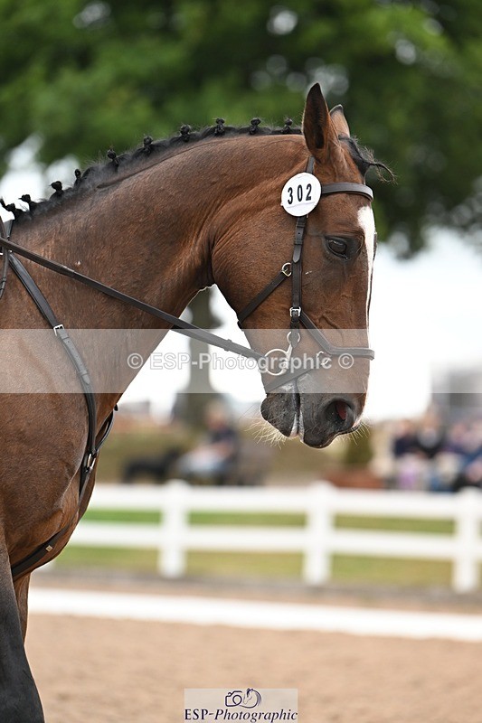 250705-175534-03194 - N3 Section BDNOV3 15.55 to 17.19