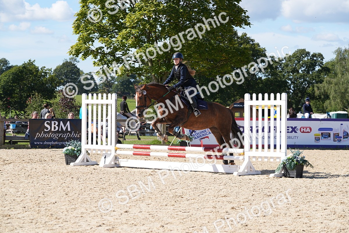 SBM_38735 - J21 - Junior Horse 60cm Championship