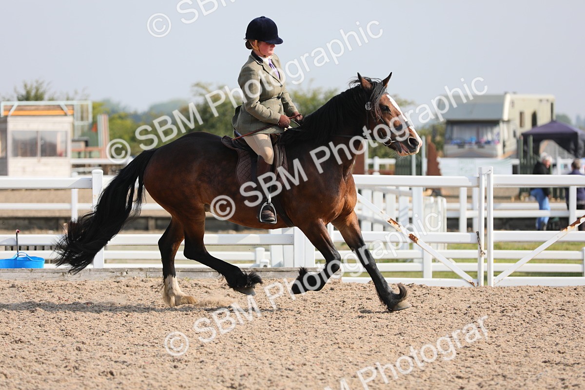 SBM_10921 - Class 304 Ridden Part Bred Horse/Pony