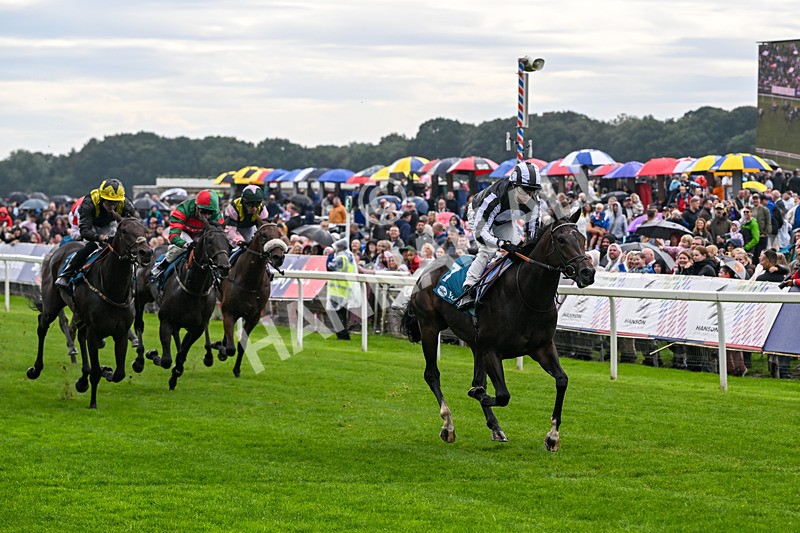 060926-Race 1-Mezzo Forte-6834 - Race 1 1.30pm Irish Thoroughbred Marketing 'Confined' EBF Maiden Stakes