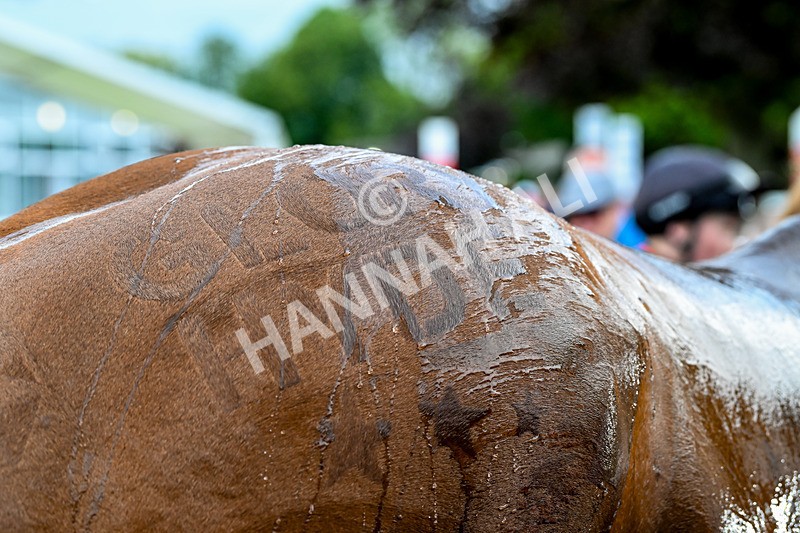 160624-Race 7-Glory Hyde-9419 - Race 7