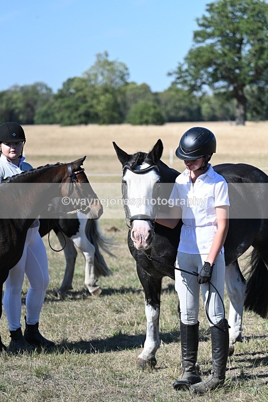 WJ7_1909 - Class 43 Best Six Legs (In hand)
