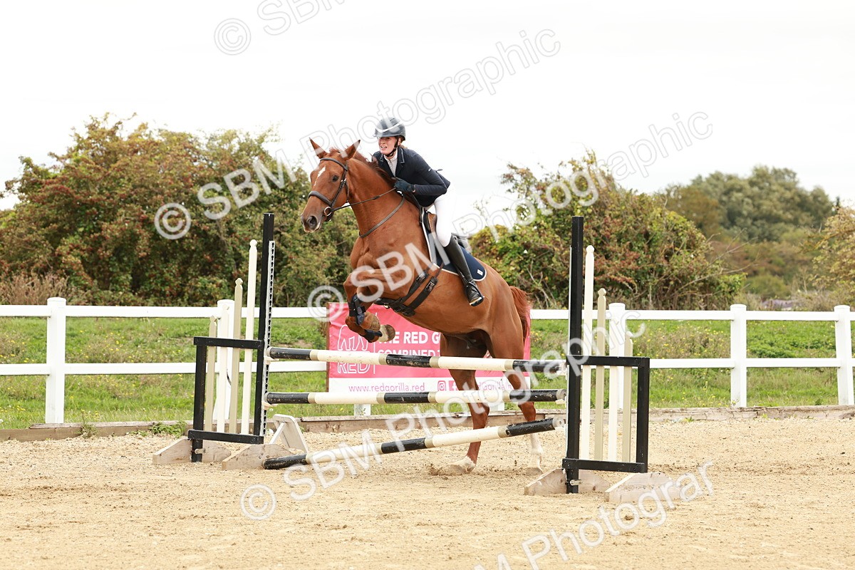 1I0A6973 - Class 2 - Senior British Novice
