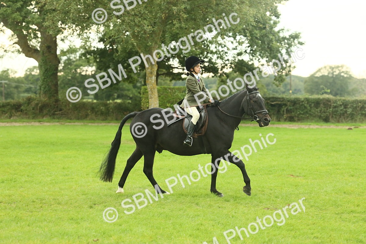 SBM_73952 - S 61 - Show Pony & Show Hunter Pony Ridden