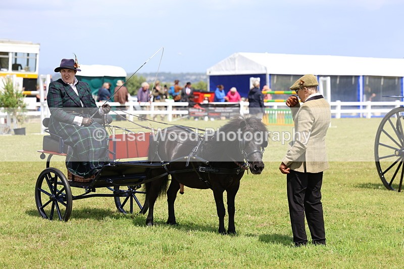 3E7A2738 - Class 12: Open Driving