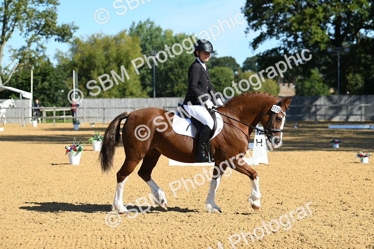 SBM_18015 - D4 - Small Tour Championship - Intro B