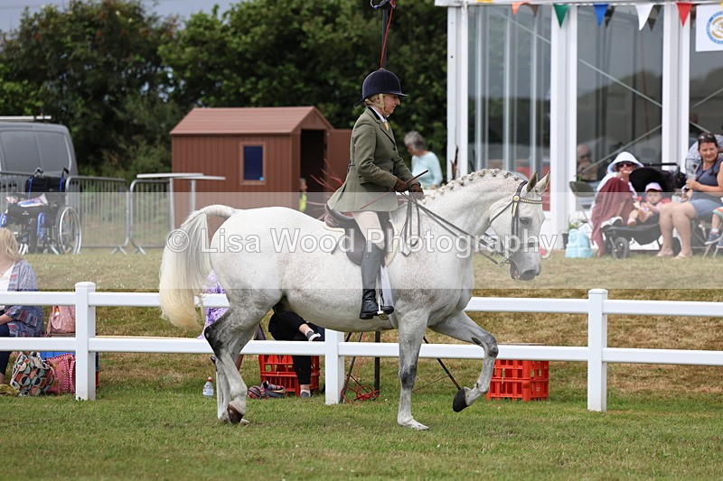 3E7A0827 - Class 8: Open Riding Horse/Hack