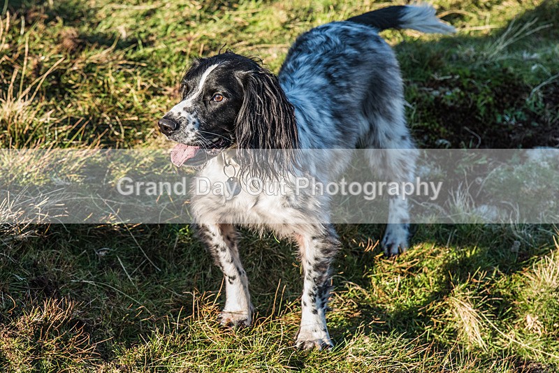 Dunnerdale-1067 - Dunnerdale Fell Race Saturday 11th November 2023