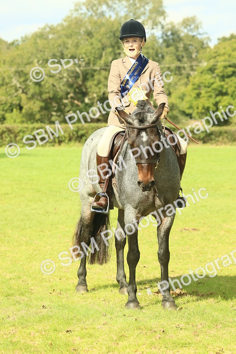 SBM_62689 - S63 - Other Coloured Horse Ridden
