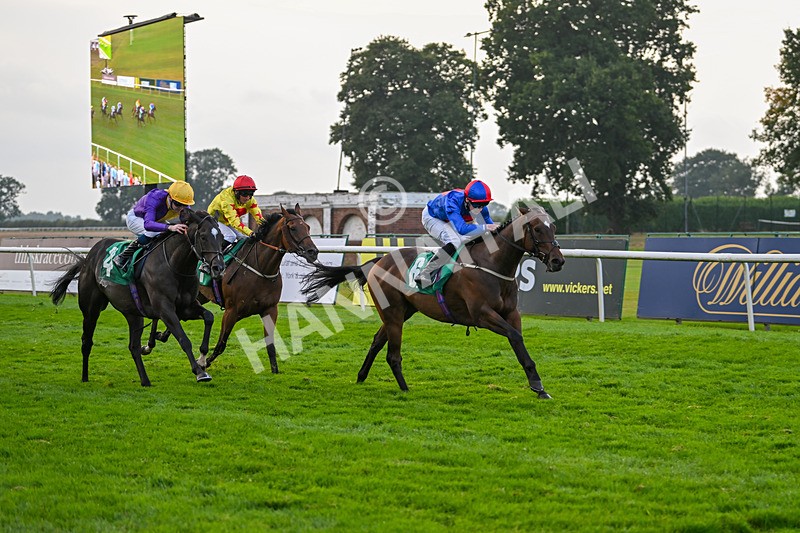 070924-Race 8-Desert Falcon-8087 - Race 8