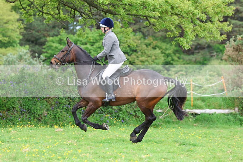 3E7A1234 - Class 7: Ridden Hunter Type