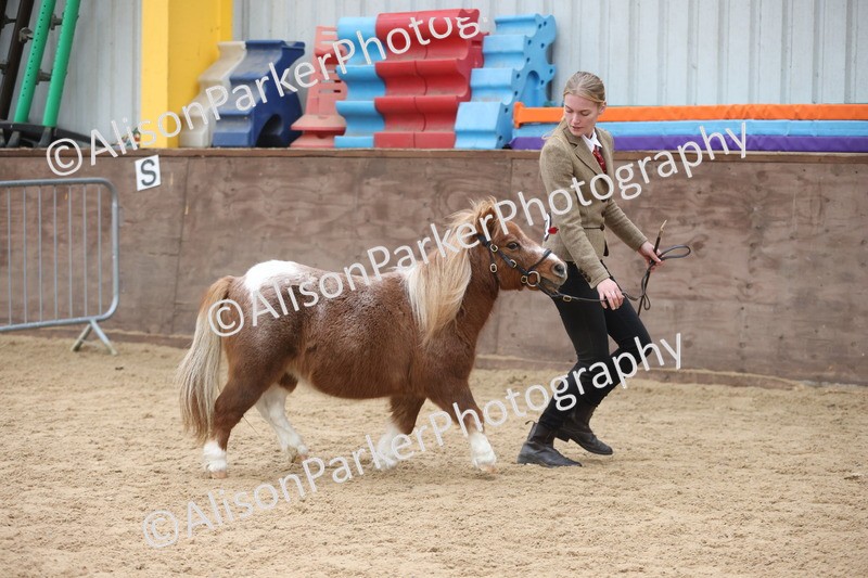 20251109-0369 - Class 14 - Geldings 4 Years and Over