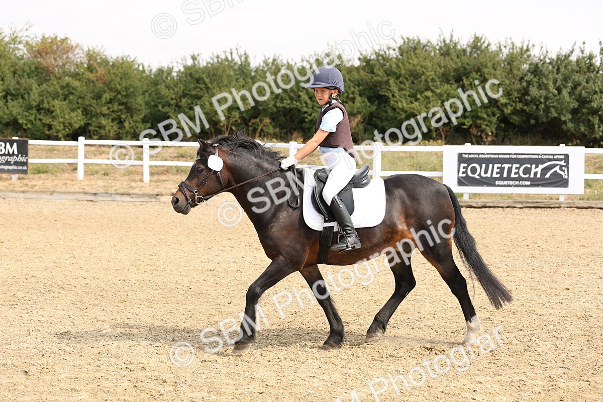 SBM_000699 - Class 21 - 60cm