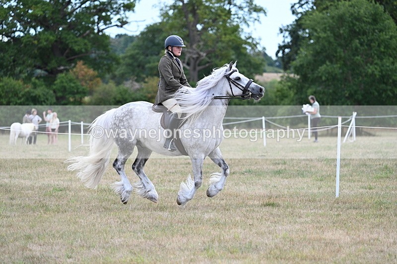 WJ7_5253 - Class 12 Ridden Cob