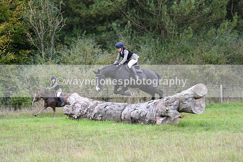 WJ7_3950 - Camera 1 Line 1