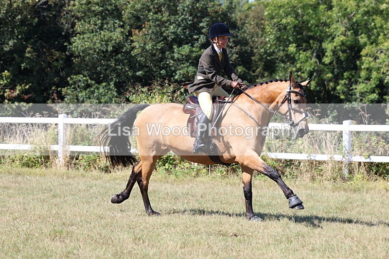 3E7A6273 - Class 6: Working Hunter 1m