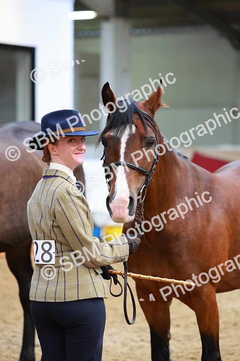 SBM_04264 - Class 9R - IH Pre-Vet