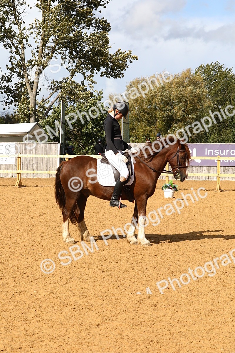 SBM_24410 - D5 - Small Tour Championshop Intro 2