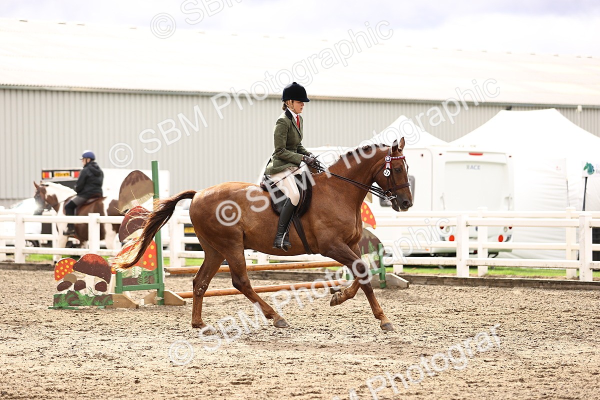 SBM_00554 - Class 53 - Ridden Competition Horse Pony