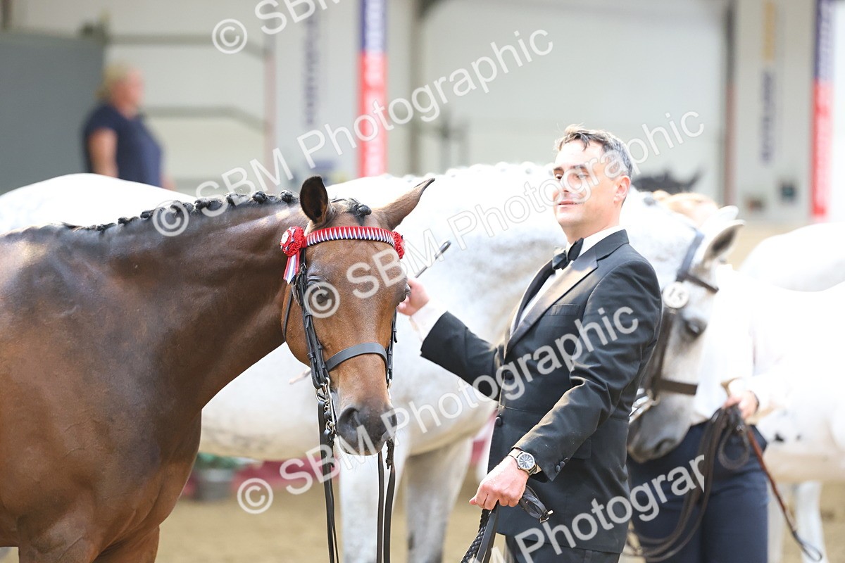 SBM_23354 - Class 903 - Supreme Final - IH Pre Vet