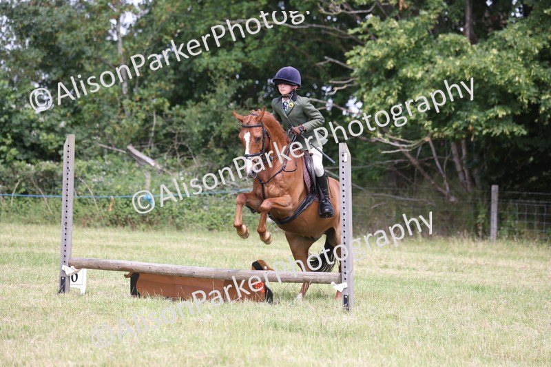 20260614-1851 - Class 21 - Novice Working Hunter Pony