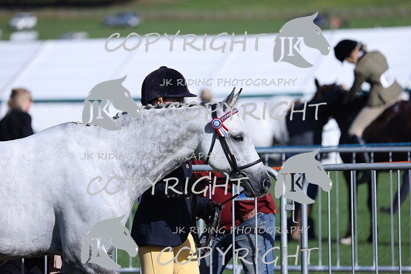 APP_2531 - Class 18 Young Handler