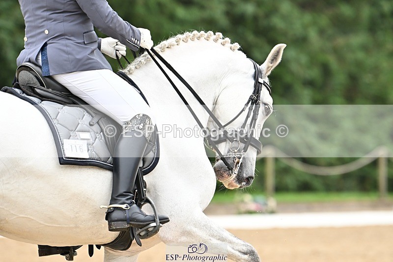 240811-114959-05276 - 116-Paula.Lee-Deseado.Santo