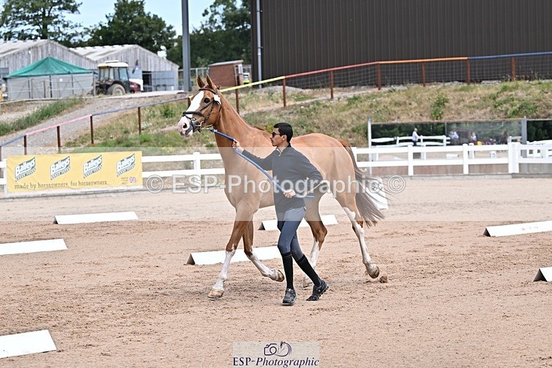 250716-130219-00276 - Trot Up 12.30 to 1.30