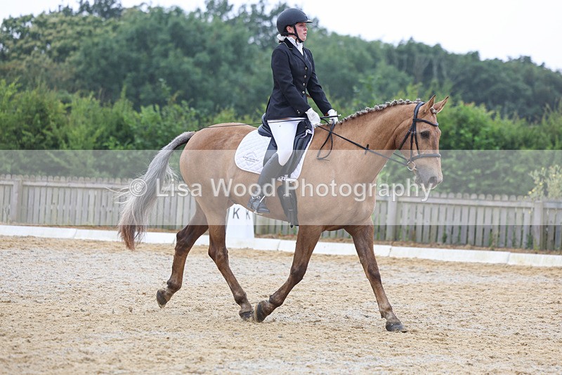 3E7A8588 - Class 2: Intro 3 2024 section B