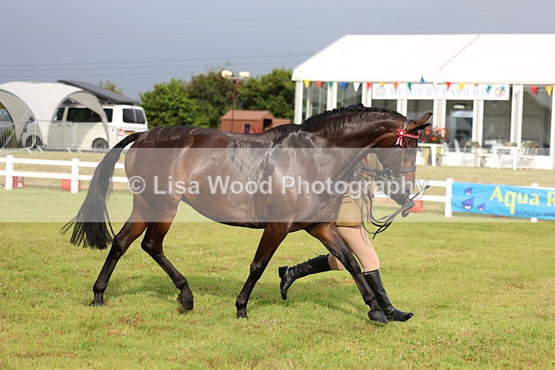 3E7A7916 - Class 1: Rising Star Small Hack/Riding Horses